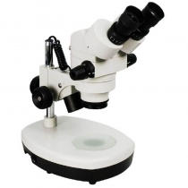 Microscope